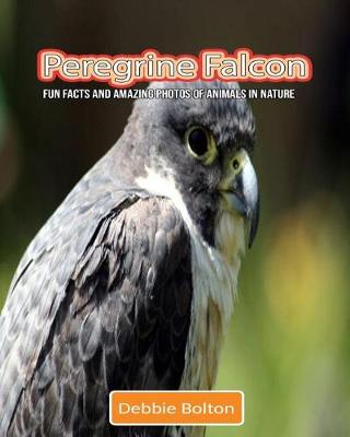 Book cover for Peregrine Falcon