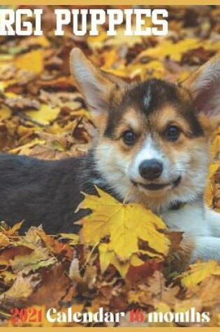 Cover of Corgi Puppies 2021 Calendar