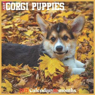 Book cover for Corgi Puppies 2021 Calendar