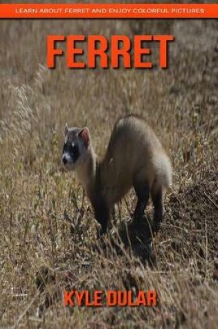 Cover of Ferret! Learn about Ferret and Enjoy Colorful Pictures