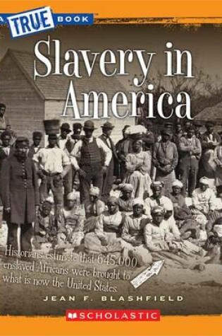 Cover of Slavery in America