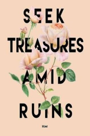 Cover of Seek Treasures Amid Ruins Rumi