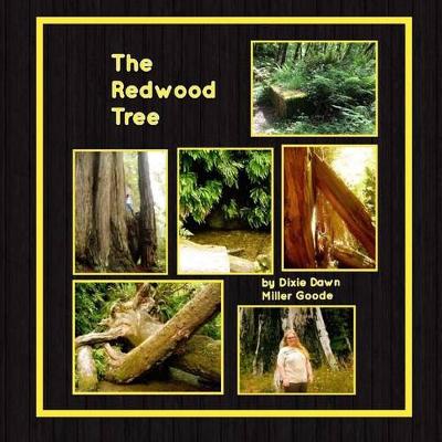 Book cover for The Redwood Tree