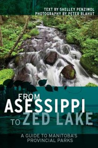 Cover of From Asessippi to Zed Lake