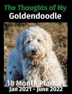 Book cover for The Thoughts of My Goldendoodle