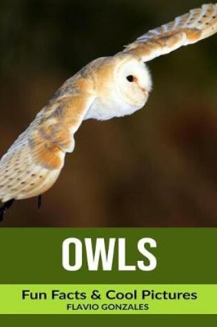 Cover of Owls