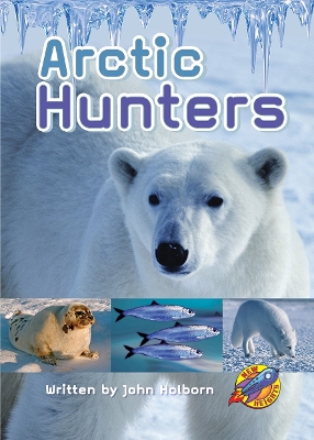 Book cover for Arctic Hunters