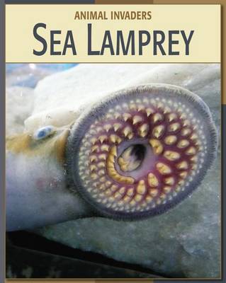 Book cover for Sea Lamprey