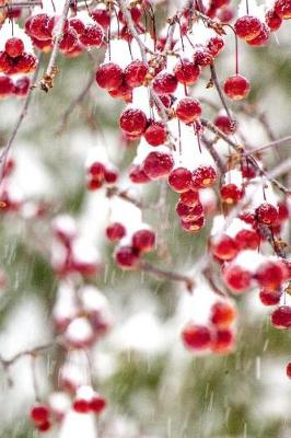 Cover of 2019 Weekly Planner Winter Berries Red White Christmas Colors Snowstorm 134 Page