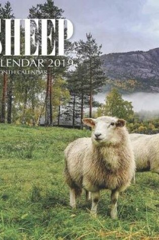 Cover of Sheep Calendar 2019