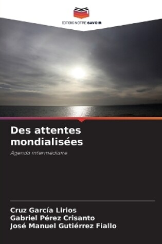 Cover of Des attentes mondialisées