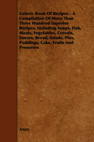 Cover of Caloric Book Of Recipes - A Compilation Of More Than Three Hundred Superior Recipes, Including Soups, Fish, Meats, Vegetables, Cereals, Sauces, Bread, Salads, Pies, Puddings, Cake, Fruits And Preserves