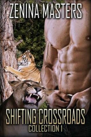 Cover of Shifting Crossroads Collection 1