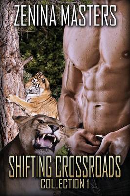 Book cover for Shifting Crossroads Collection 1