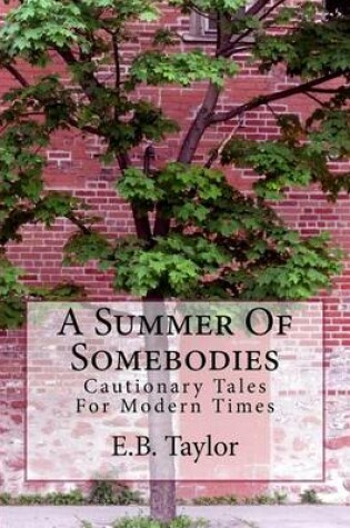 Cover of A Summer of Somebodies
