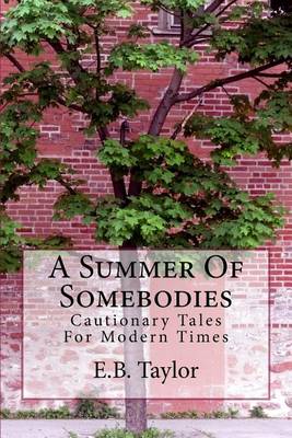 Book cover for A Summer of Somebodies