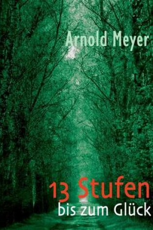 Cover of 13 Stufen