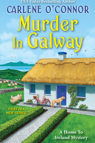 Cover of Murder in Galway