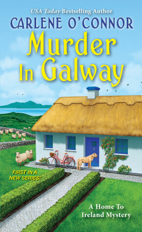 Book cover for Murder in Galway