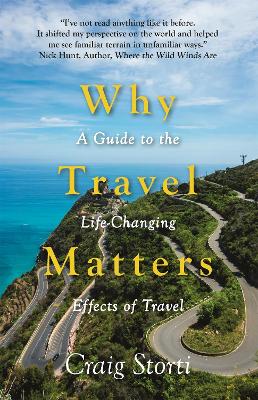 Book cover for Why Travel Matters