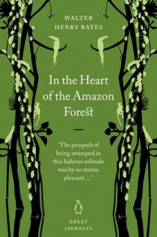 Cover of In the Heart of the Amazon Forest