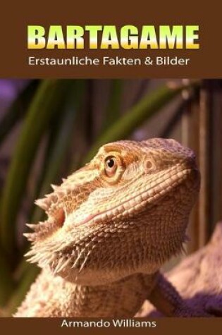 Cover of Bartagame