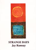 Book cover for Strange Days