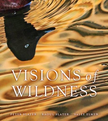 Book cover for Visions of Wildness