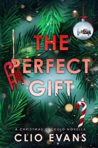 Cover of The Perfect Gift