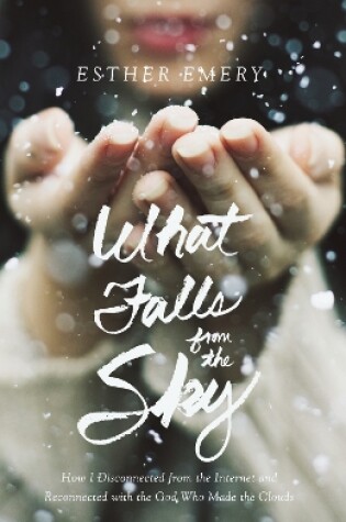 Cover of What Falls from the Sky