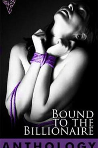 Cover of Bound to the Billionaire