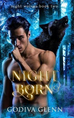 Book cover for Night Born