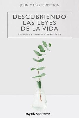 Book cover for Descubriendo Las Leyes de la Vida