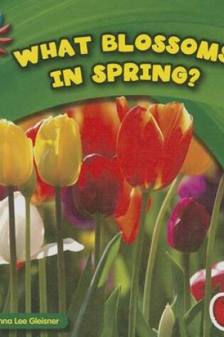 Cover of What Blossoms in Spring?