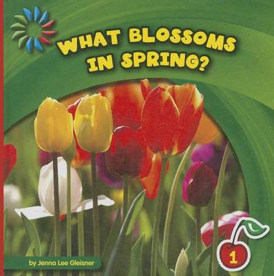 Book cover for What Blossoms in Spring?