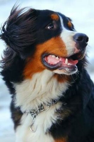 Cover of Beautiful Bernese Mountain Dog Journal