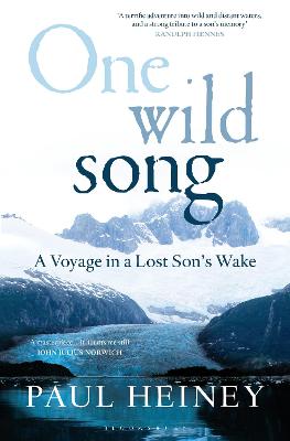 Book cover for One Wild Song