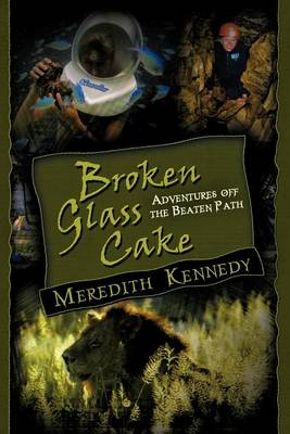 Book cover for Broken Glass Cake