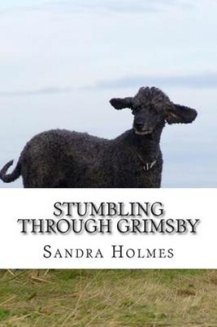 Cover of Stumbling Through Grimsby