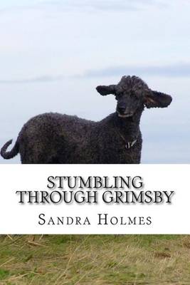 Book cover for Stumbling Through Grimsby