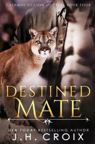 Cover of Destined Mate