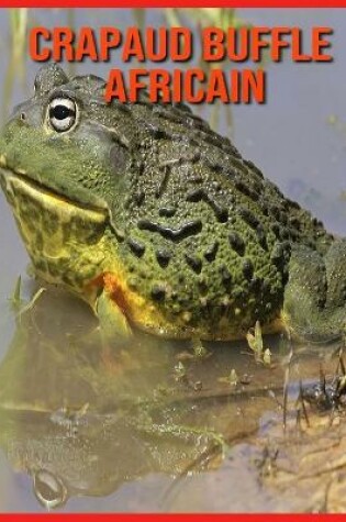 Cover of Crapaud Buffle Africain