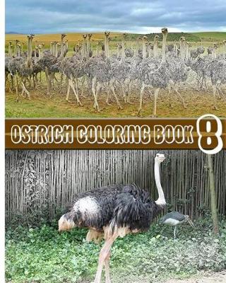 Book cover for Ostrich