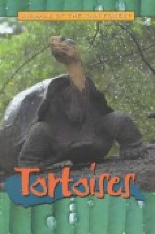 Cover of Tortoises