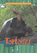 Cover of Tortoises