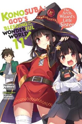 Cover of Konosuba: God's Blessing on This Wonderful World!, Vol. 11 (light novel)