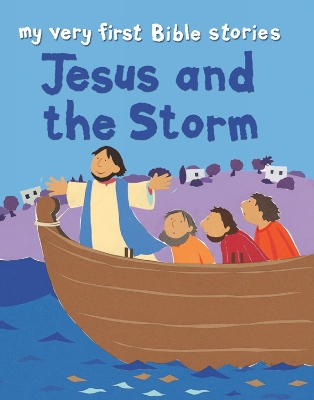 Book cover for Jesus and the Storm