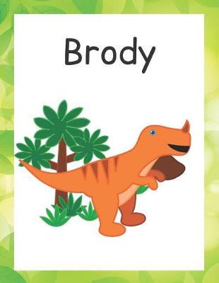 Book cover for Brody