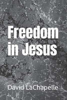 Book cover for Freedom in Jesus