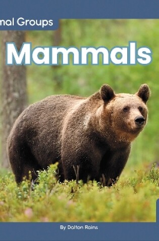 Cover of Animal Groups: Mammals